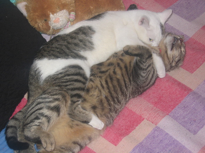 23 dec 2007 079