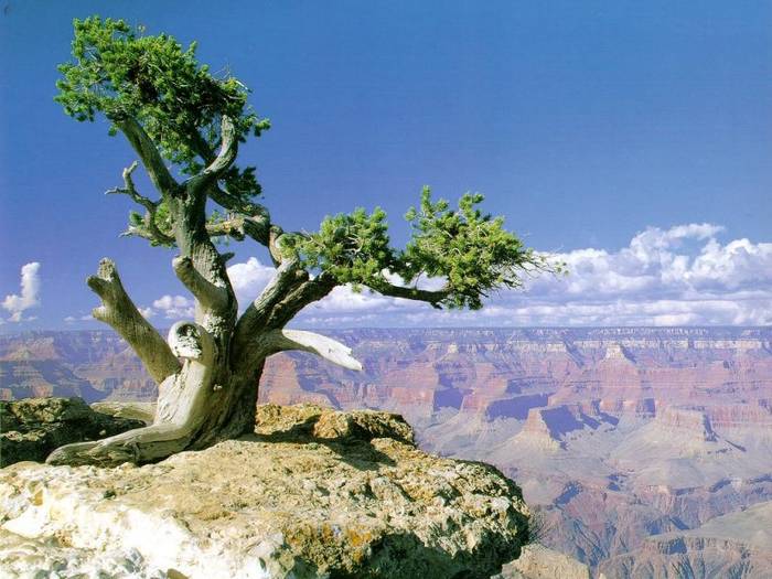 65_GrandCanyon_ArizonaUSA_freelandscapes_computerdesktopwallpaper_s