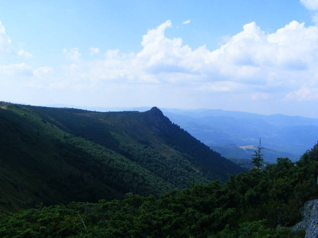 DSCF4415 - 2 august 2009 Traseu Suior Secatura Creasta Cocosului Gutaiul Doamnei  Vf Gutai