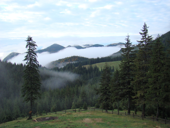 DSC04518 - Valea Crapaturii - Piatra Craiului