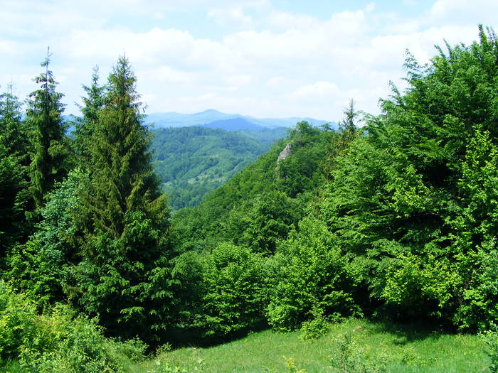 DSCF1064