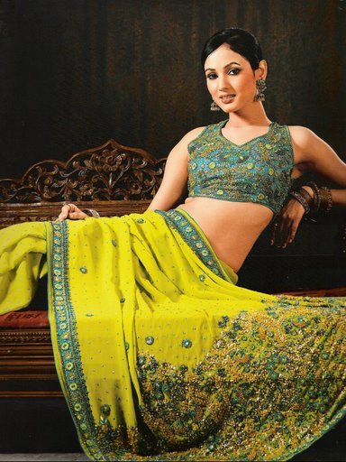 saree - Saree-uri pe care le poarta indiencele si accesorii