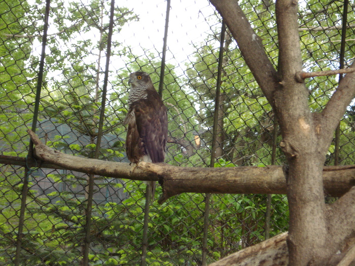 Picture 133