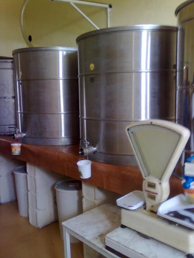 maturatoare, igiena perfecta - ApiMondia