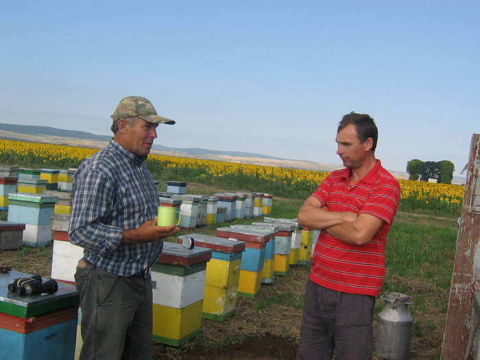 18iulie 026 - albinarit