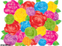 trandafiri colorati - FlOrI fRuMoAsE