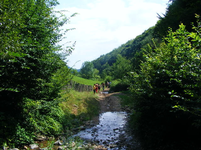 DSCF4899 - Firiza_Maramures