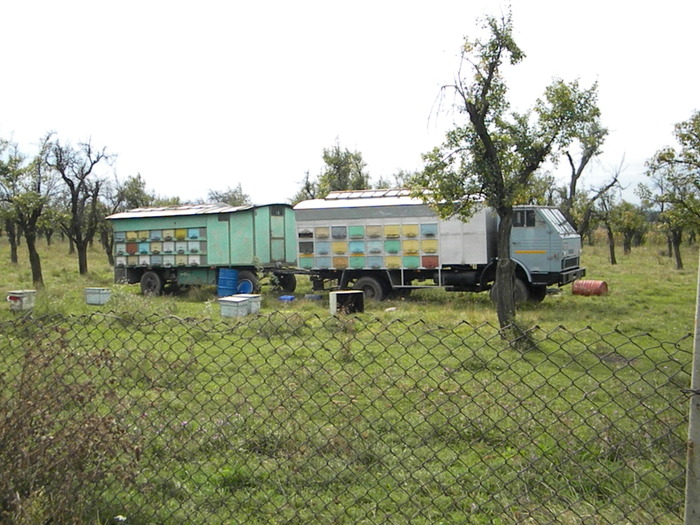 DSCN3194