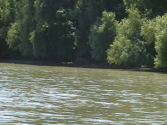 IMGA0786