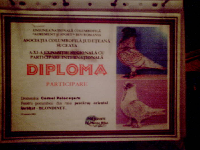 Diploma Blondinet