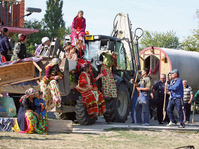 pe tractor - inima de tigan