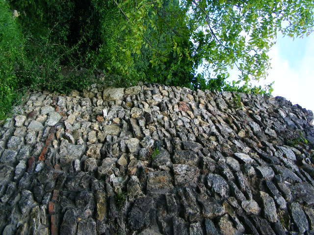 DSCF0593
