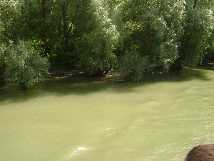 excursie delta dunarii 5062009 070 - EXCURSIE  in DELTA