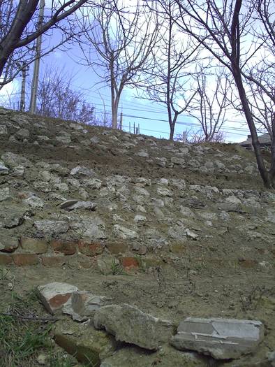 PICT0007 - GRADINA-2009