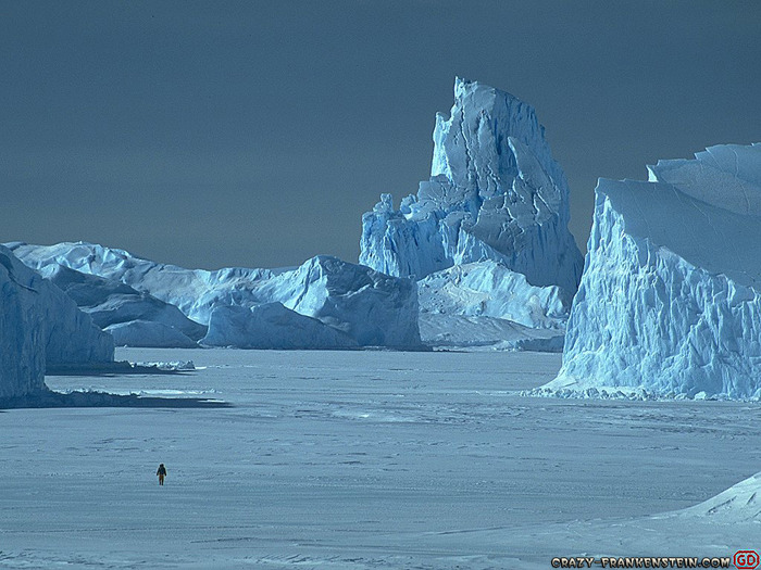 10 - alaska and antarctica icebergs
