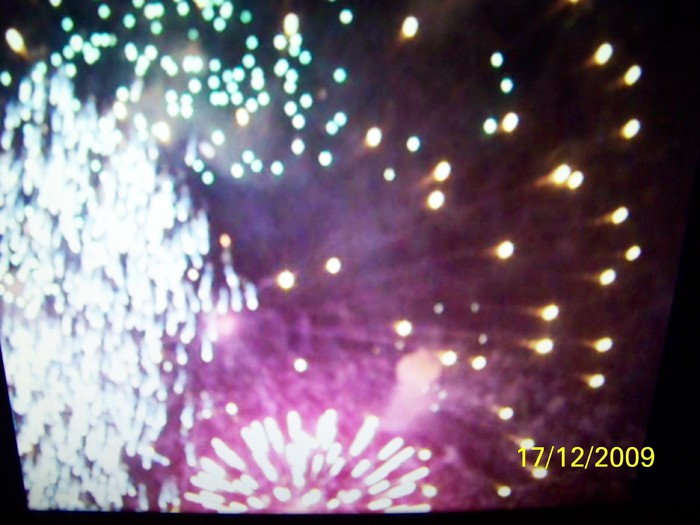 100_7065 - 1 Decembrie Timisoara