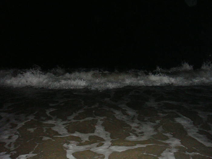 101 - bulgaria aug 2009