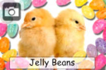 jellybeans - De Pasti