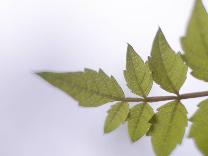 (381) - HD Wallpapers