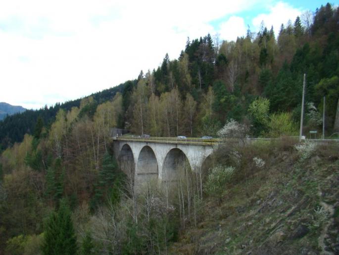 DSC02996 - 13 aprilie - Ceahlau-lacul Bicaz-Cheile Bicazului-lacul Rosu