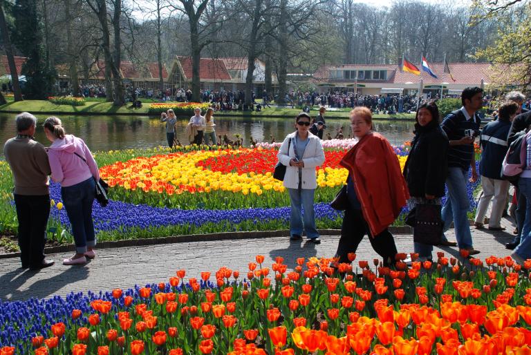 Afbeelding 800 - Keukenhof 2008