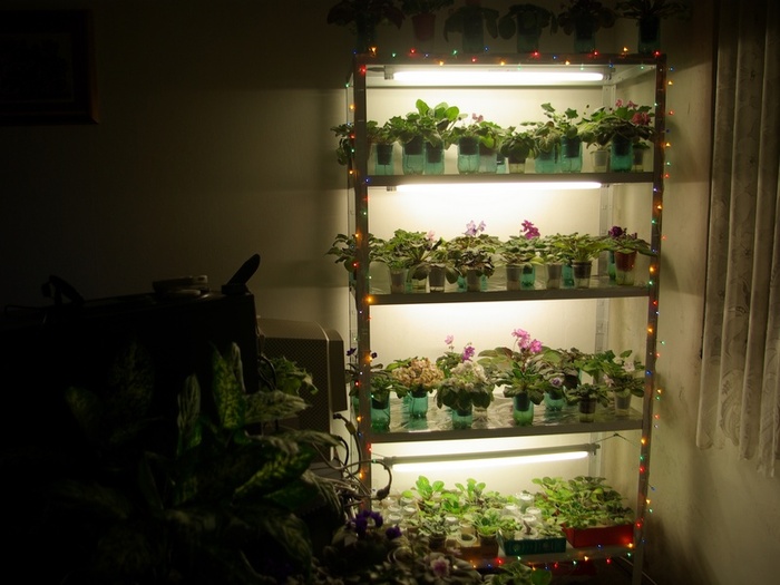 SG107122 - 2013 - Rafturi-Grup