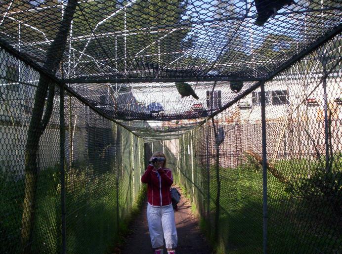 190 centru papag. 6 oct 2007 (26)