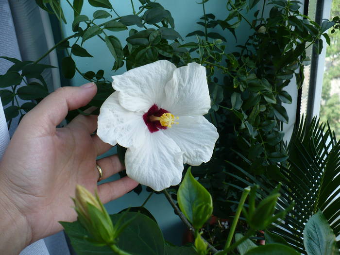 P1140042