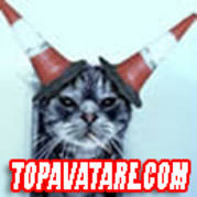 Cone-Cat[1]