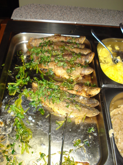 DSC06246 - 2010 REVELION SIBIU