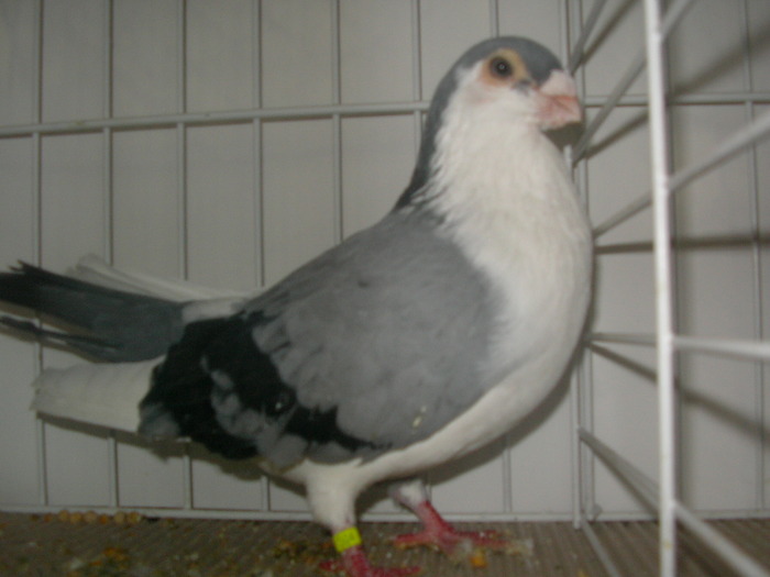 SANY0114