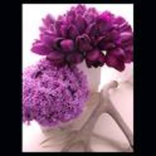 imagesCASPH81L