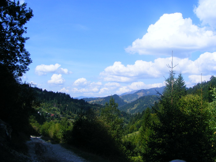 DSCF6347 - muntii Rodnei