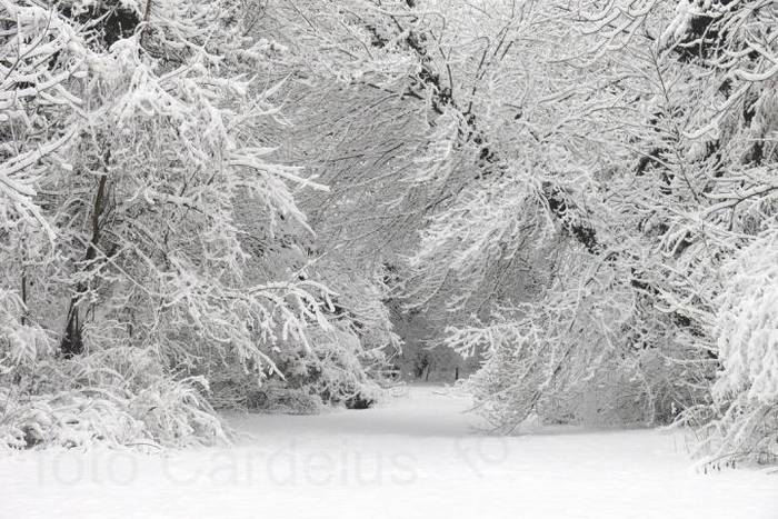 PC5X5ZP1TSW907KBX7OVGLCGN