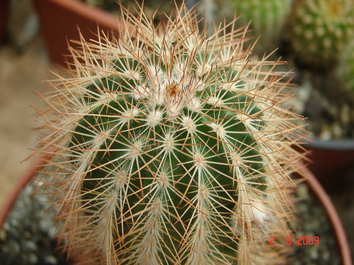 DSC05480