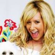 xd (120) - high school musical
