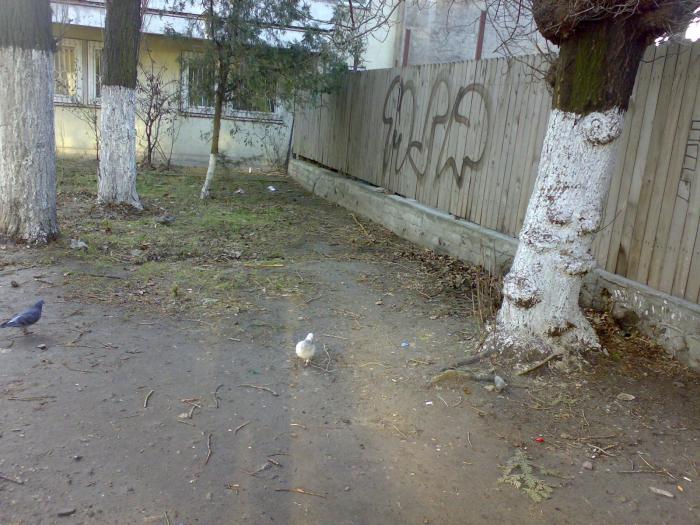 210120091720 - 18a Constanta 1