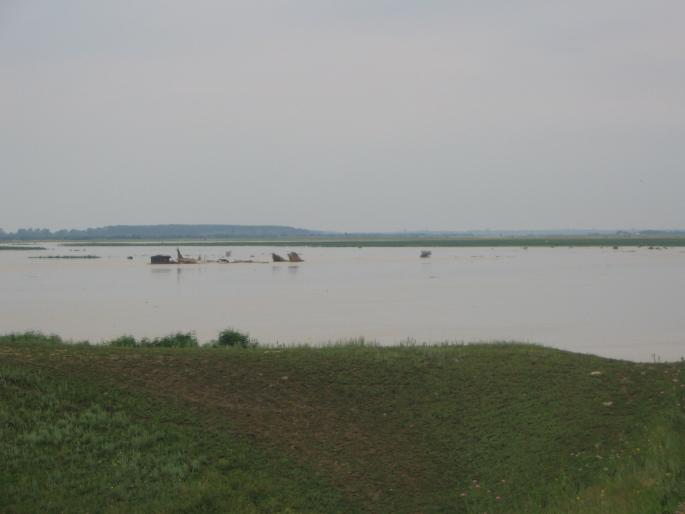 inundatii (2) - inundatii 2005 Galati