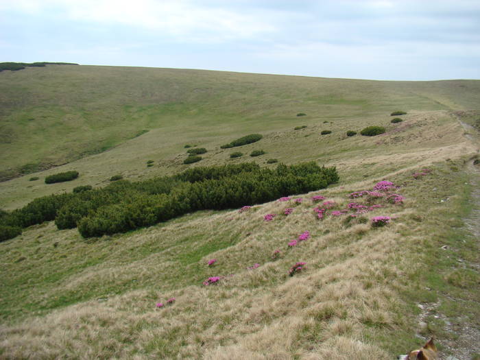 DSC03948 - Concediu 2009