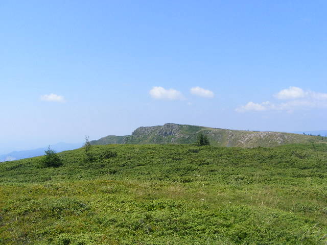 DSCF4208 - 2 august 2009 Traseu Suior Secatura Creasta Cocosului Gutaiul Doamnei  Vf Gutai