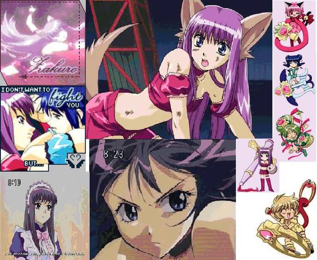 MewMintandMewZakuro