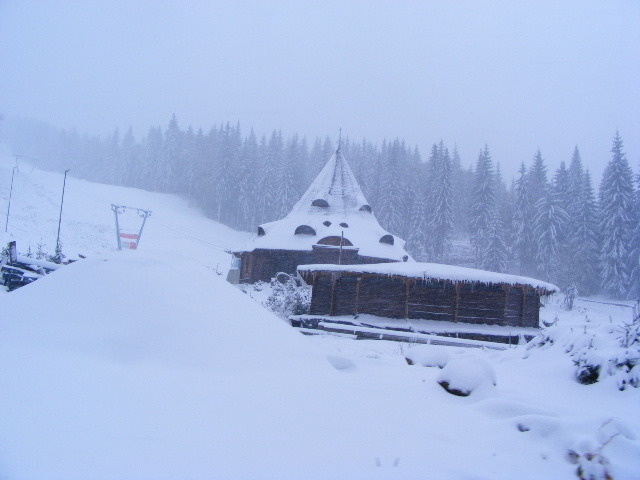 DSCF7353 - ninge in Maramu