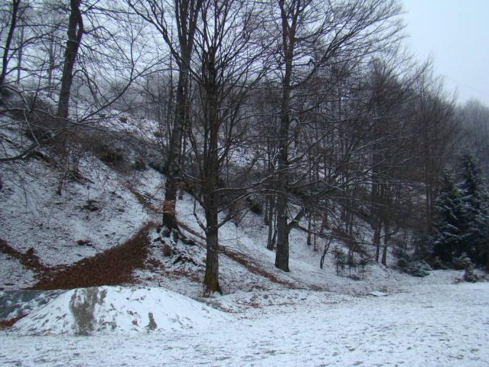 DSC02192 - 2008-02-11 - La Pucioasa-Targoviste-Fieni