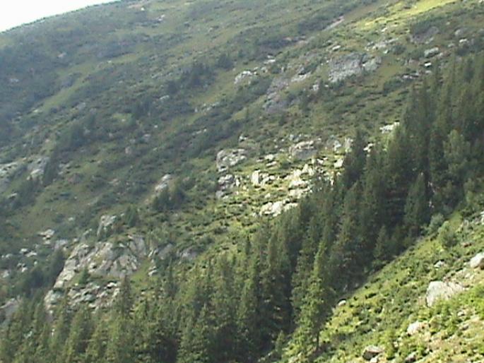 DSC00771 - Excursie in muntii Fagaras 2008