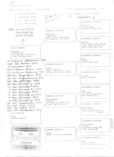 original G&M Vanhee - pedigree