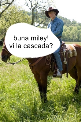 hannah-montana-the-movie-405662l-imagine - banda desenata miley 2