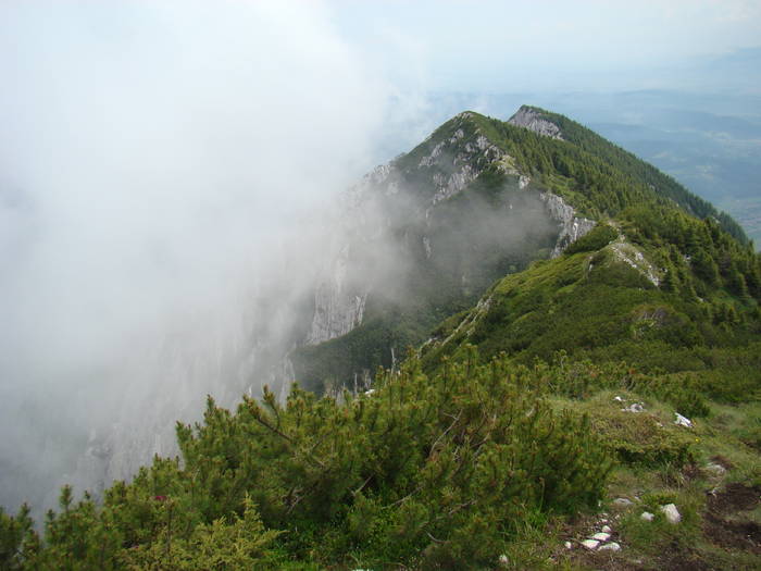 DSC03790 - Concediu 2009