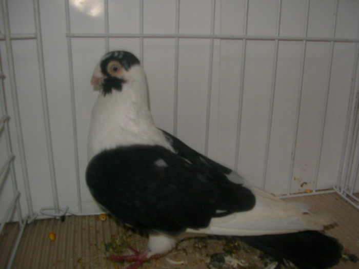 SANY0099