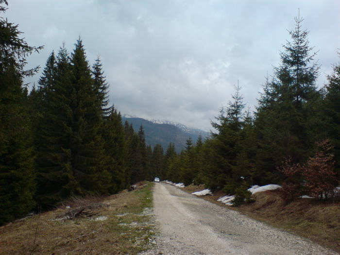DSC01192