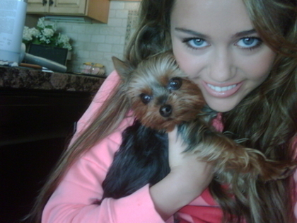 miley and puppyyyyy - album pentru selyselenaprincess